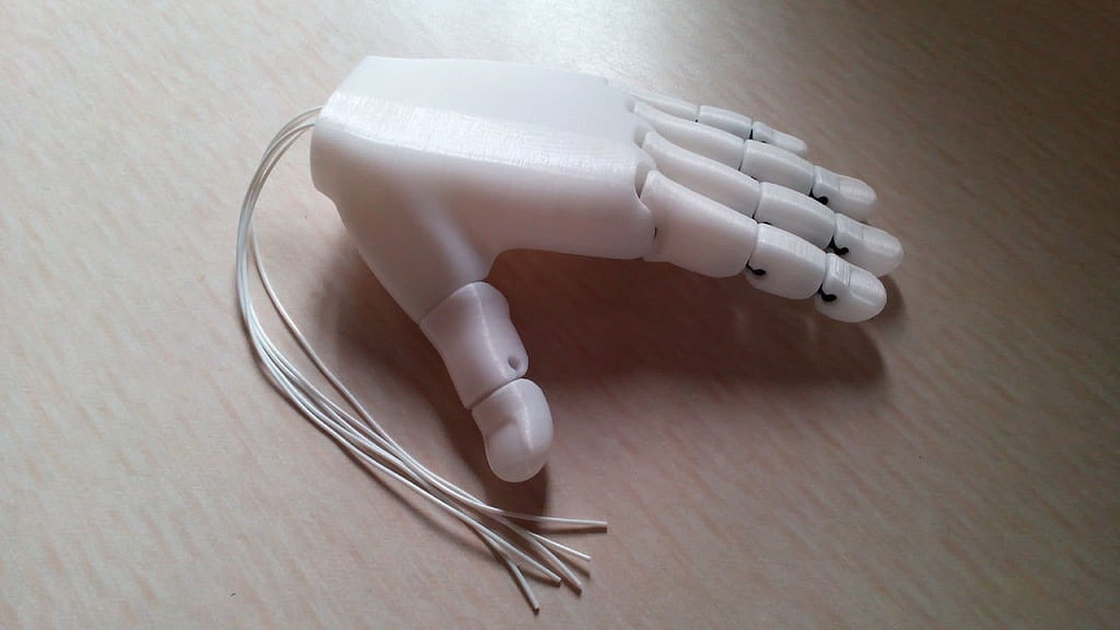 Flexy-Hand – 3D Baskı Modeli