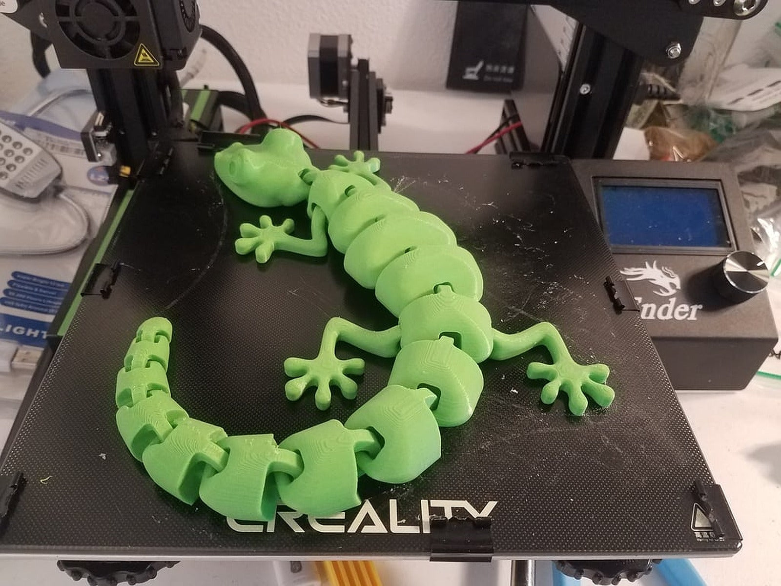 Curled Articulated Lizard – 3D Baskı Modeli