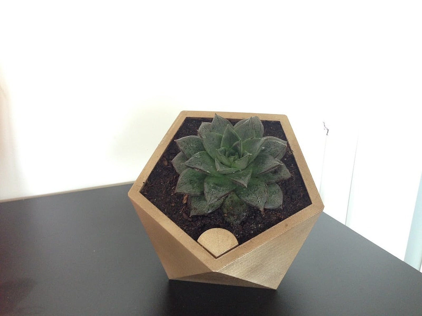 Penta self watering flower saksı – 3D Baskı Modeli