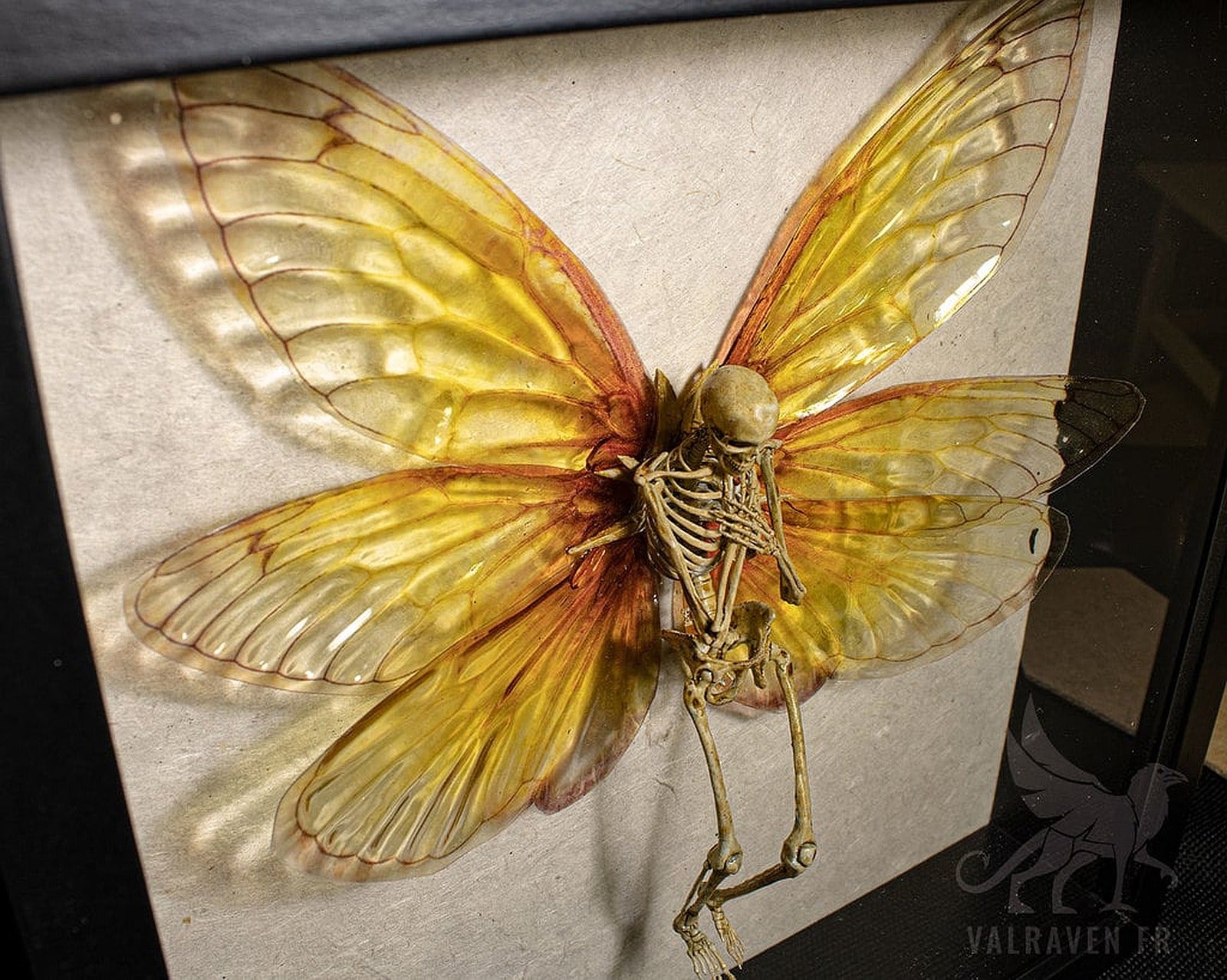 Fairy skeleton – 3D Baskı Modeli