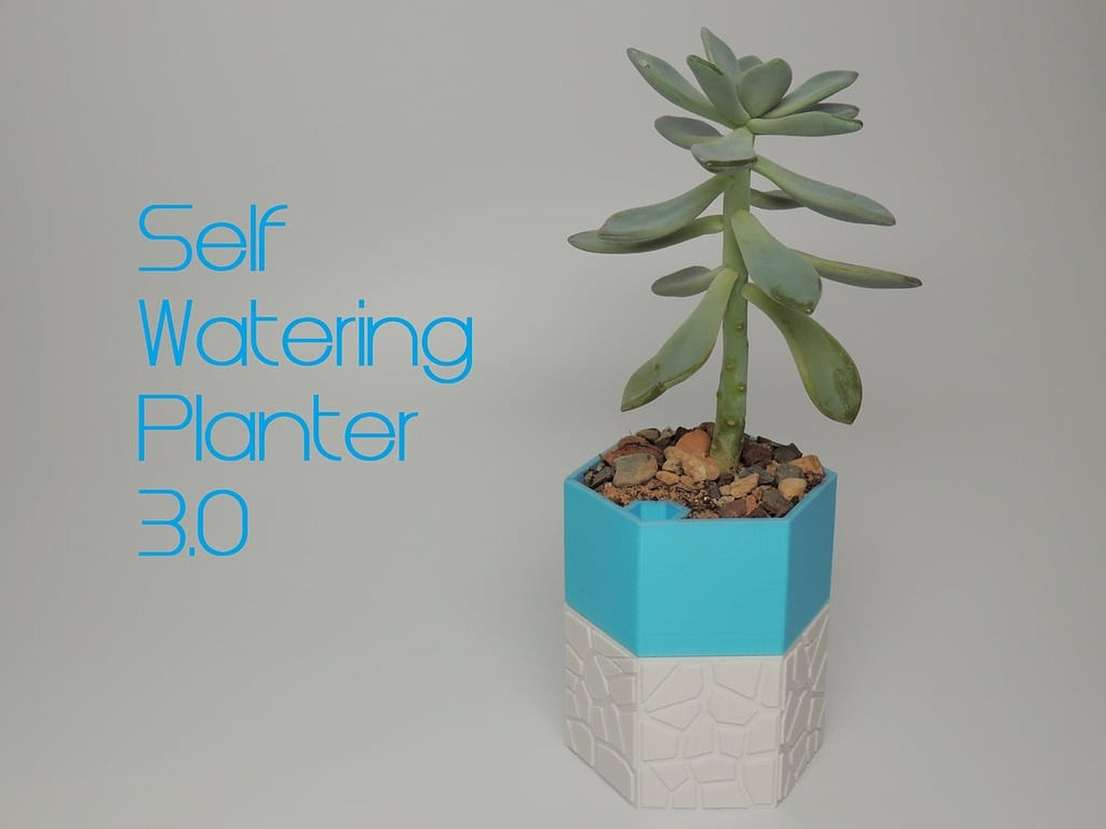 Self-watering saksı 3 – 3D Baskı Modeli