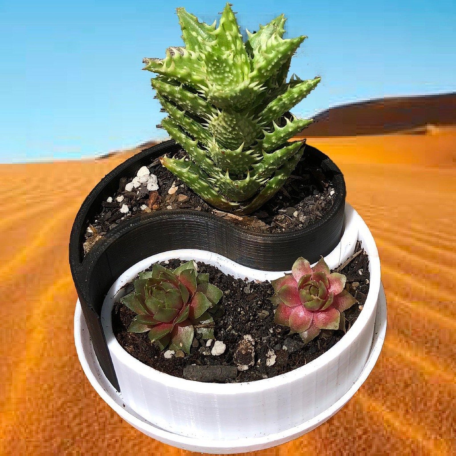 Customizable Yin-Yang saksı / Container – 3D Baskı Modeli