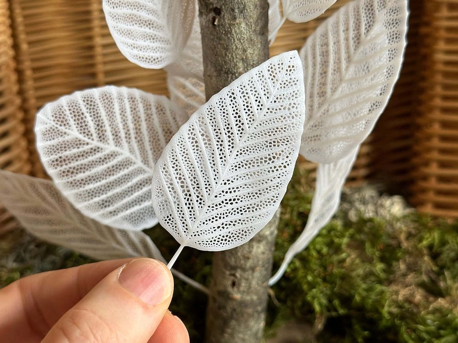 Skeleton Leaves – 3D Baskı Modeli