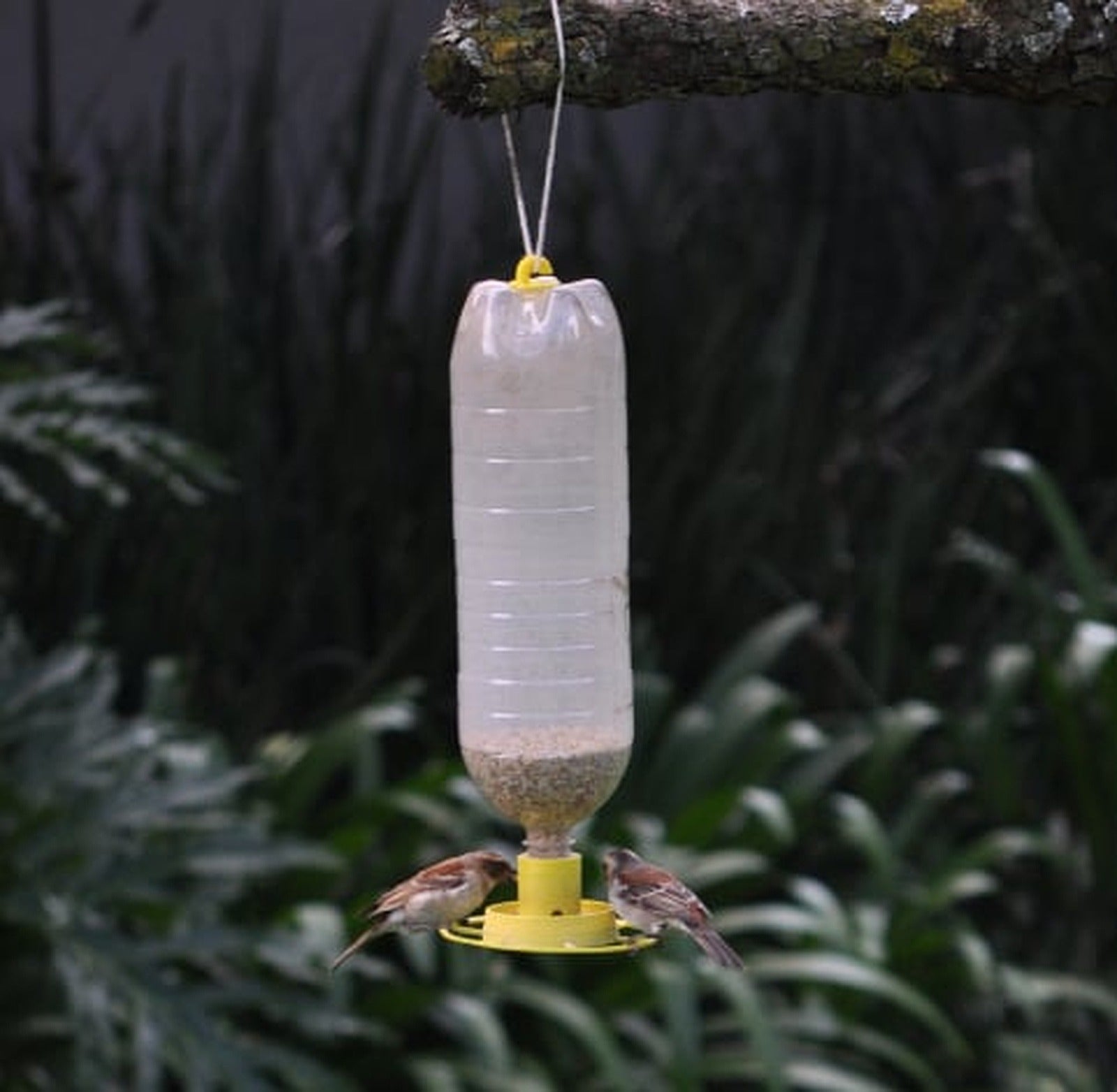 Bird Feeder (with soda bottle thread) – 3D Baskı Modeli