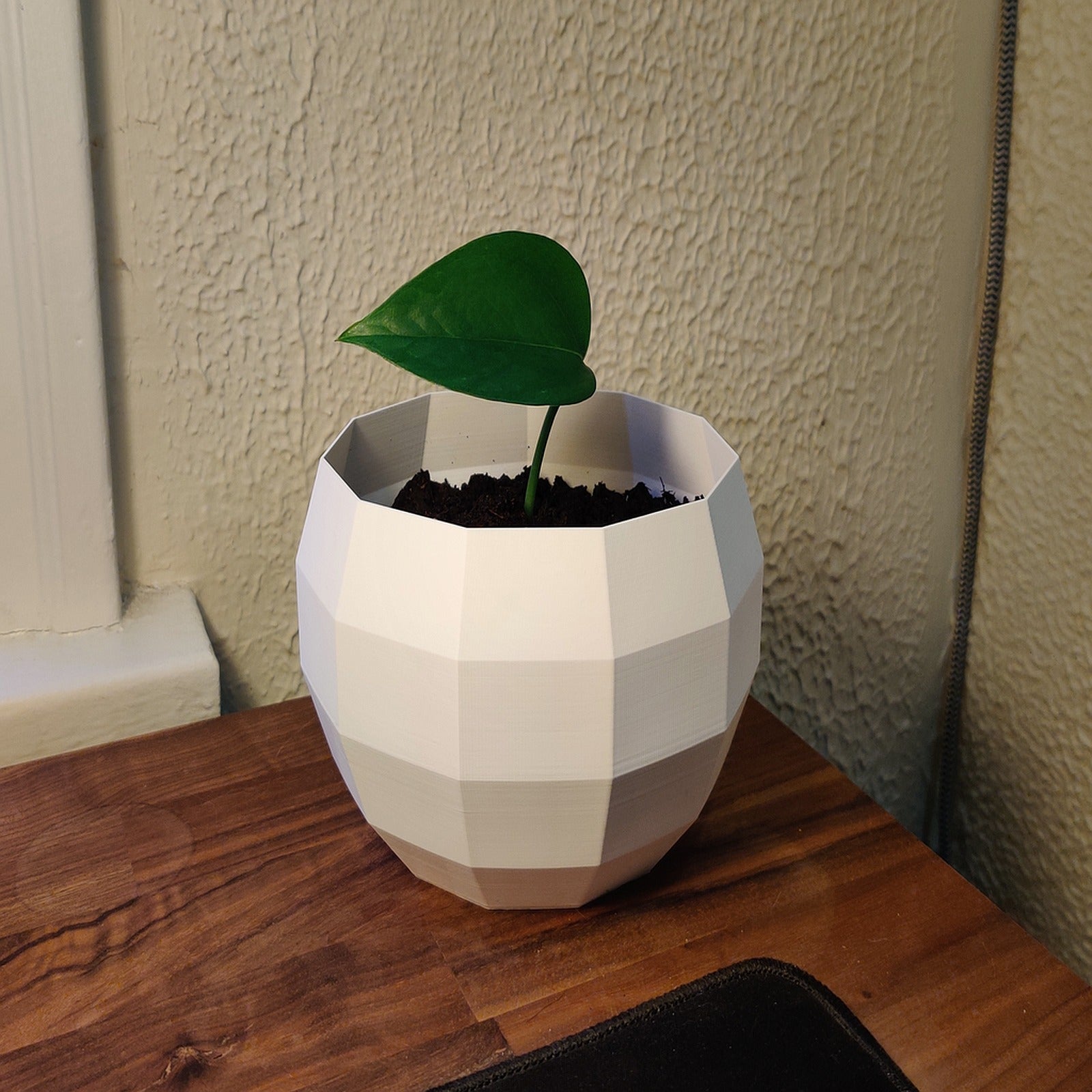 Low Poly Plant saksı – 3D Baskı Modeli