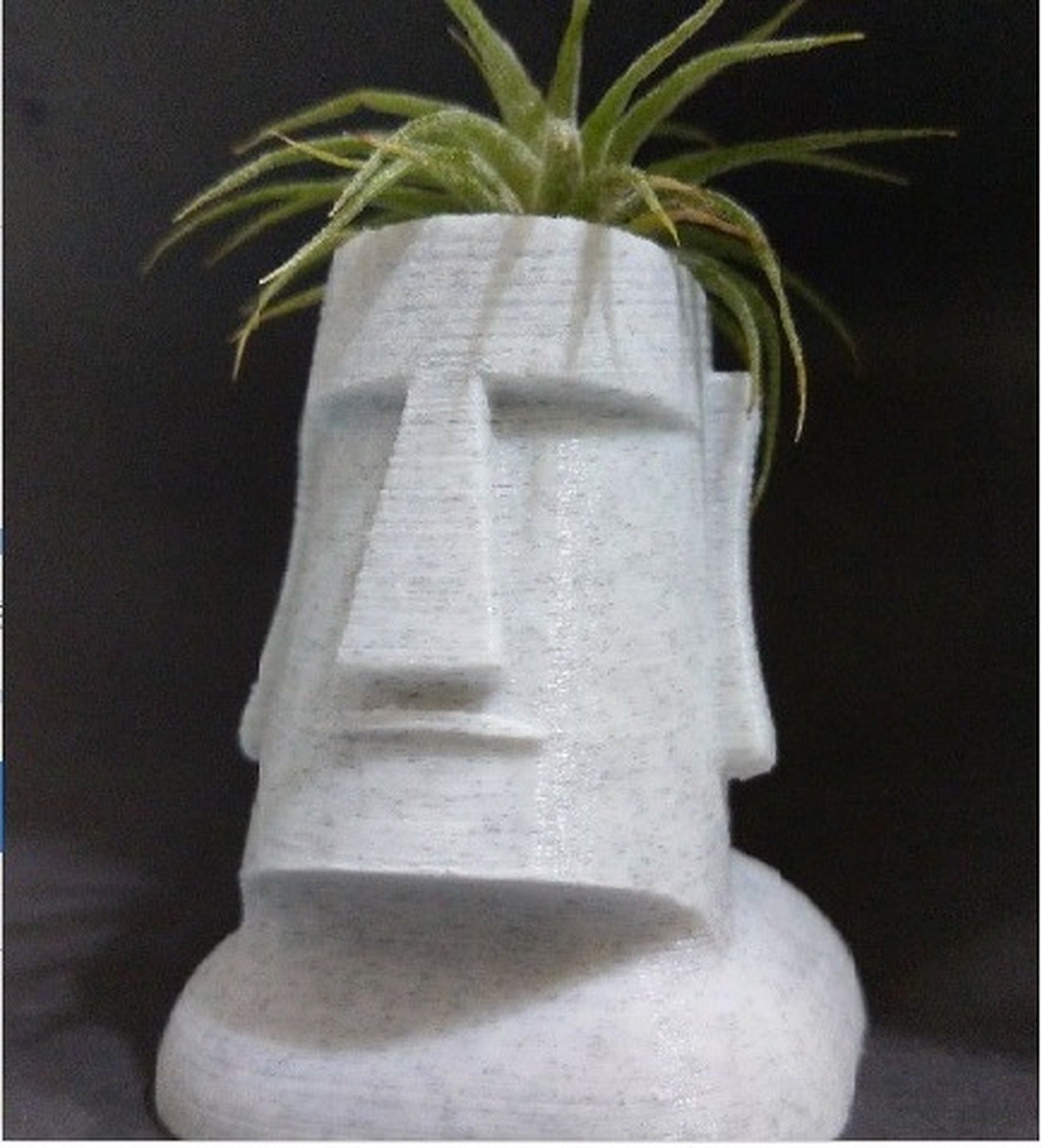 Moai Plant – 3D Baskı Modeli