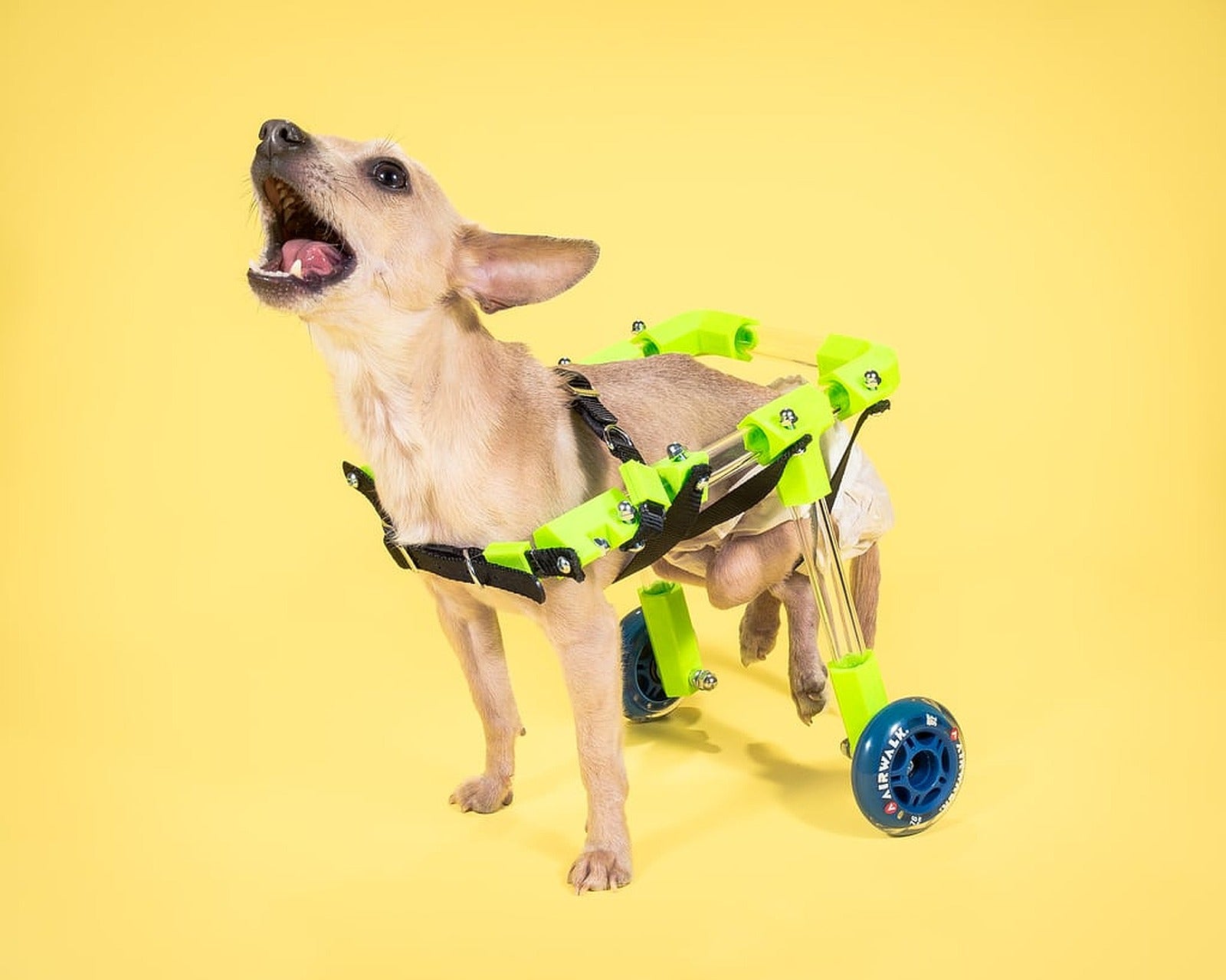 FiGO |  Rear Support Pet Wheelchair – 3D Baskı Modeli