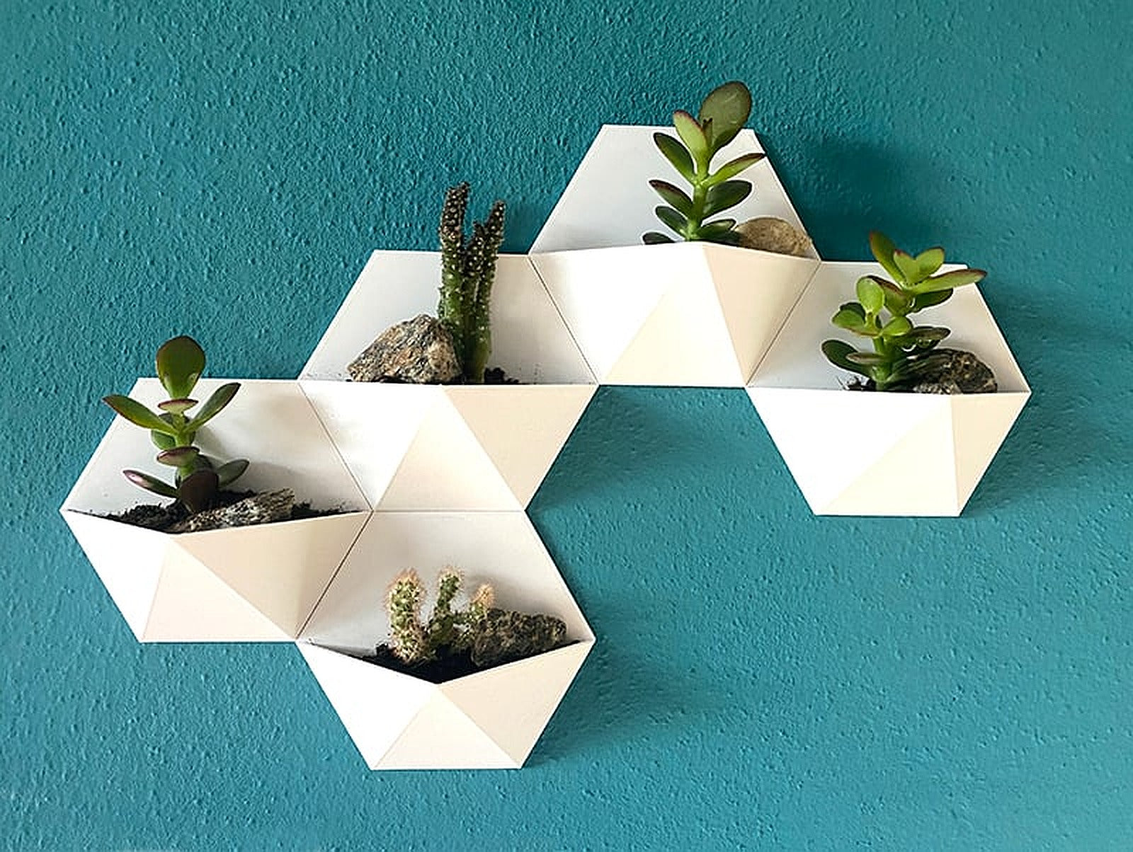 Succulent vazo – 3D Baskı Modeli