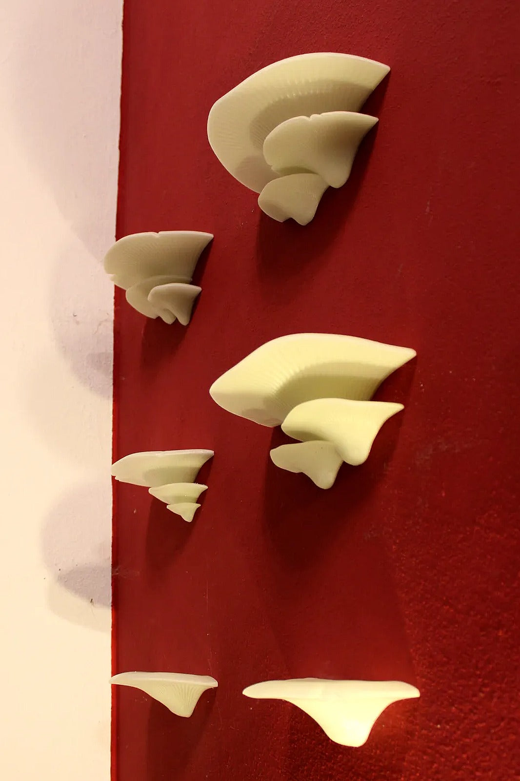 Large Mushroom Shelves with wall mount braket and two more designs – 3D Baskı Modeli