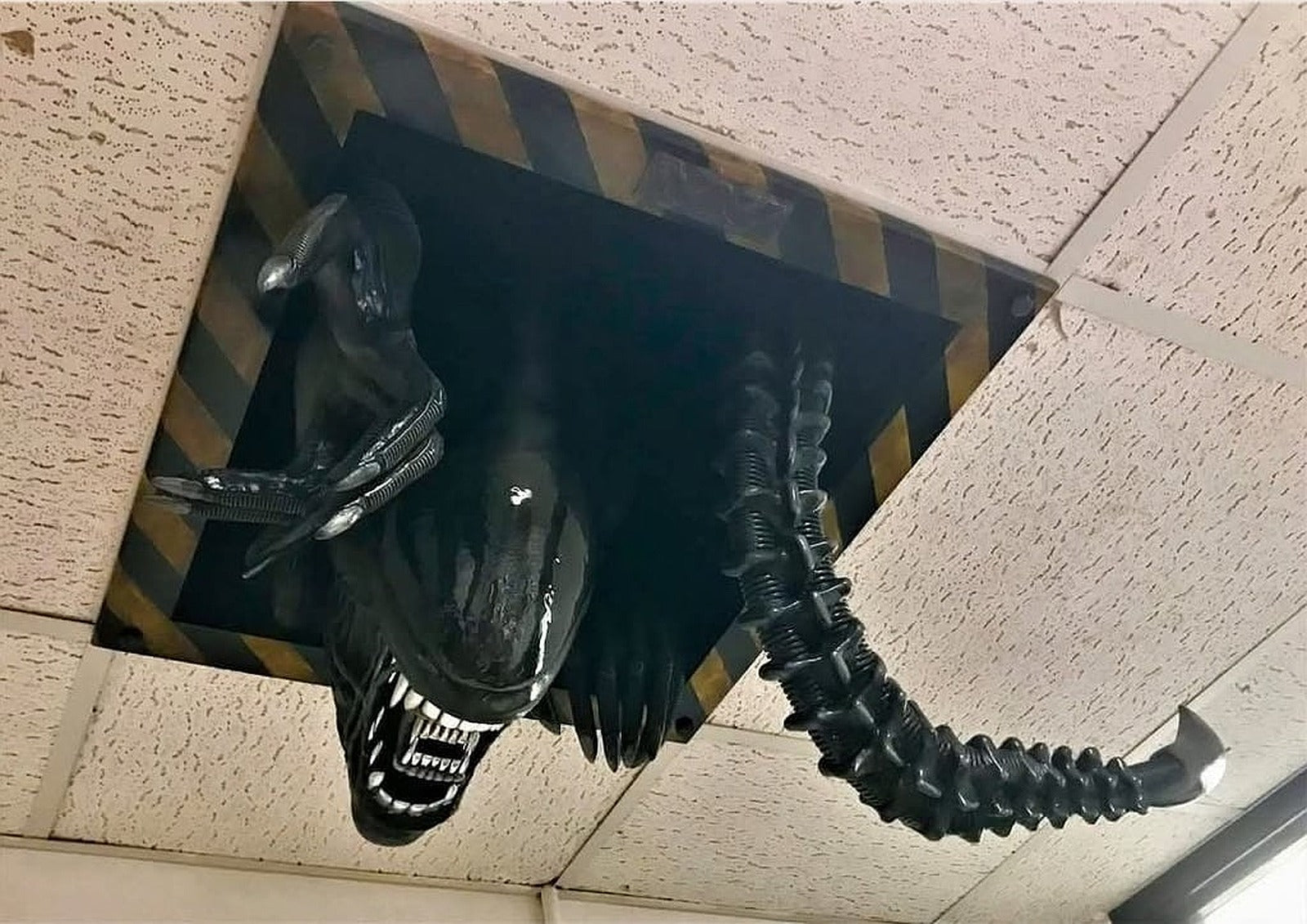 Ceiling Xenomorph Updated – 3D Baskı Modeli