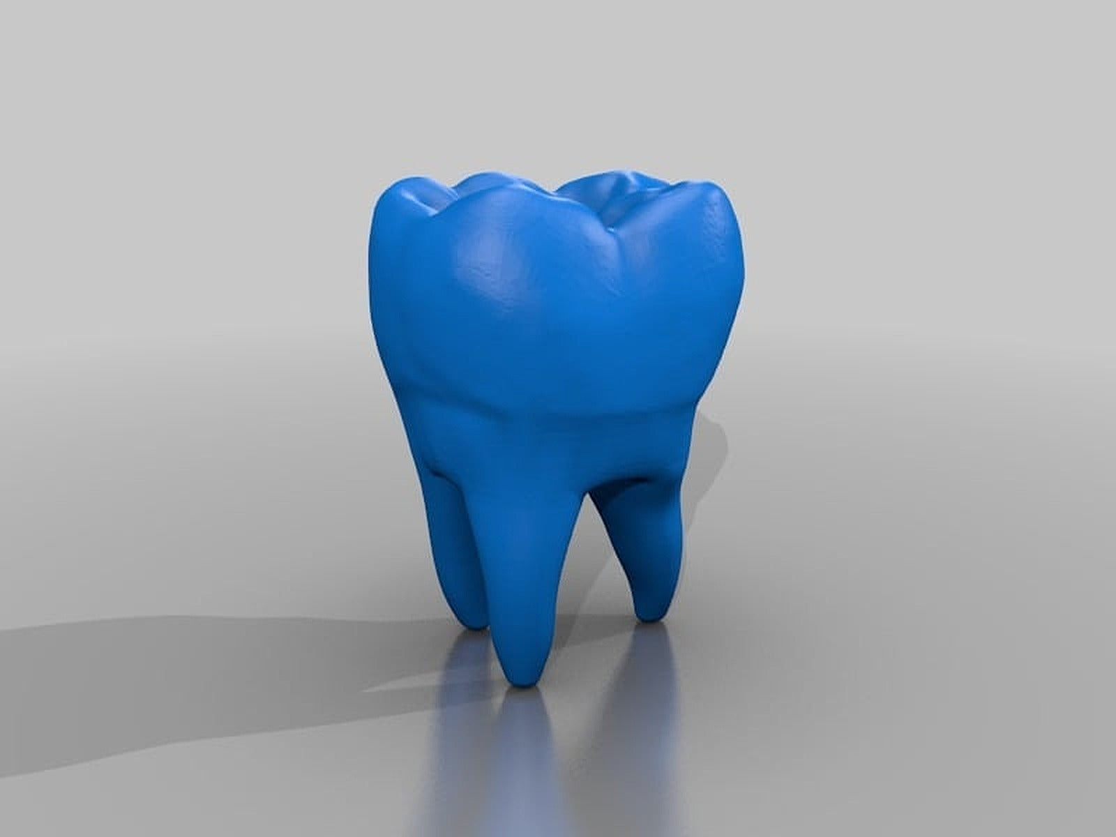 human tooth model – 3D Baskı Modeli
