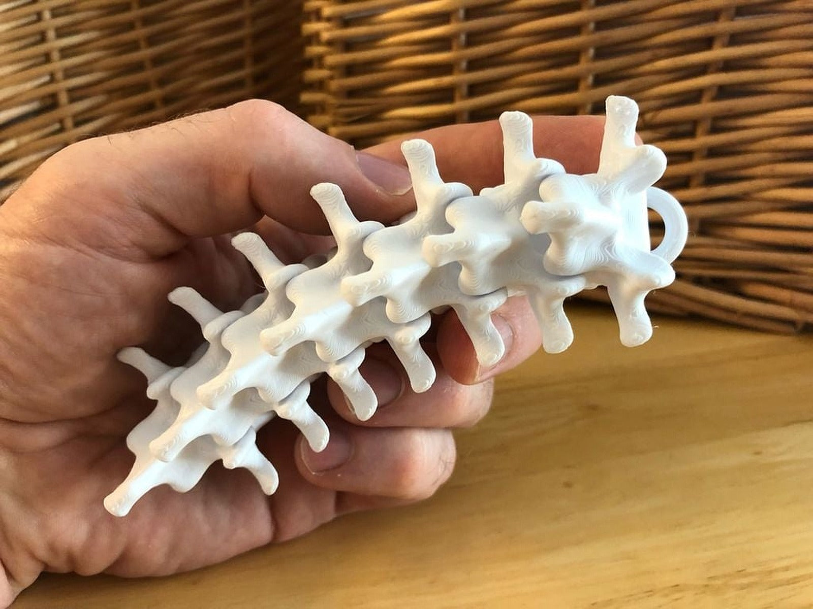 Mini Articulating Spine anahtarlık – 3D Baskı Modeli