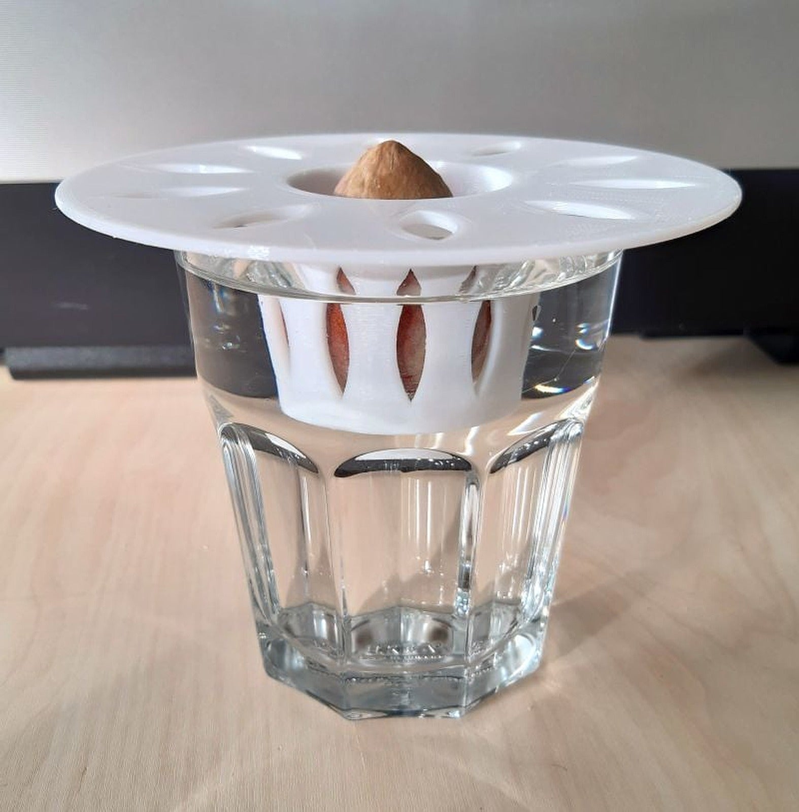 Avocado Seed Grower – 3D Baskı Modeli