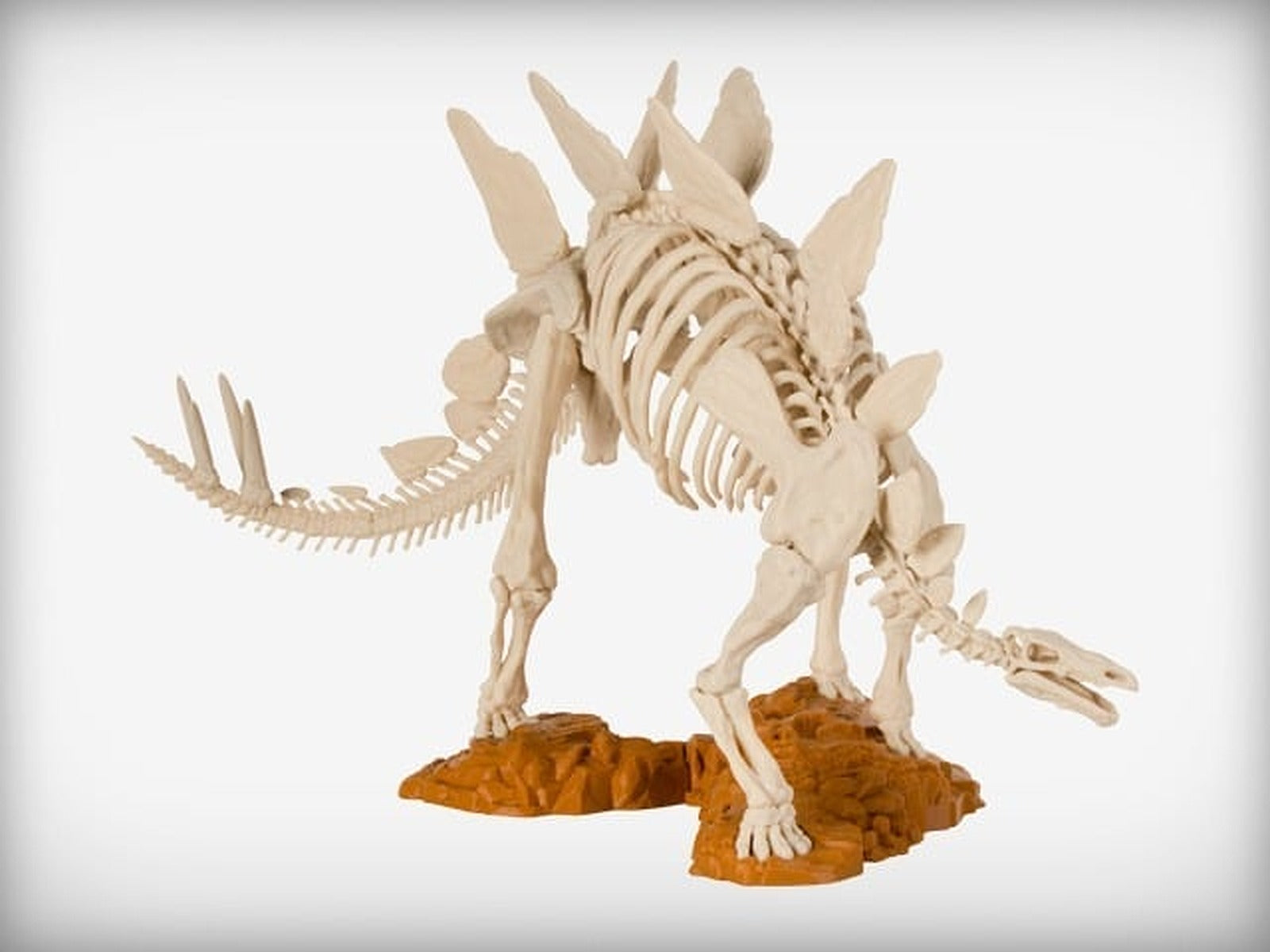 Stegosaurus Skeleton – 3D Baskı Modeli
