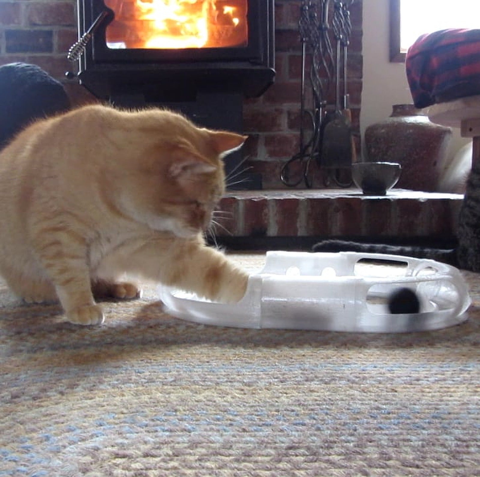 Cat Toy Race Track – 3D Baskı Modeli