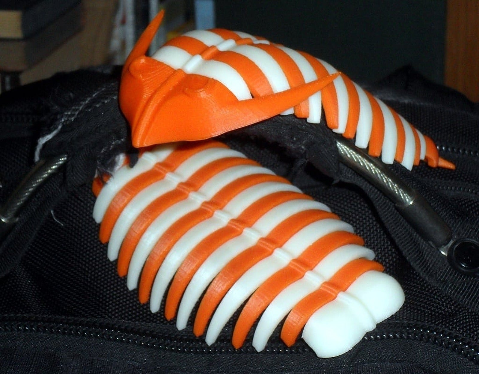 Trilobite articulatum – 3D Baskı Modeli