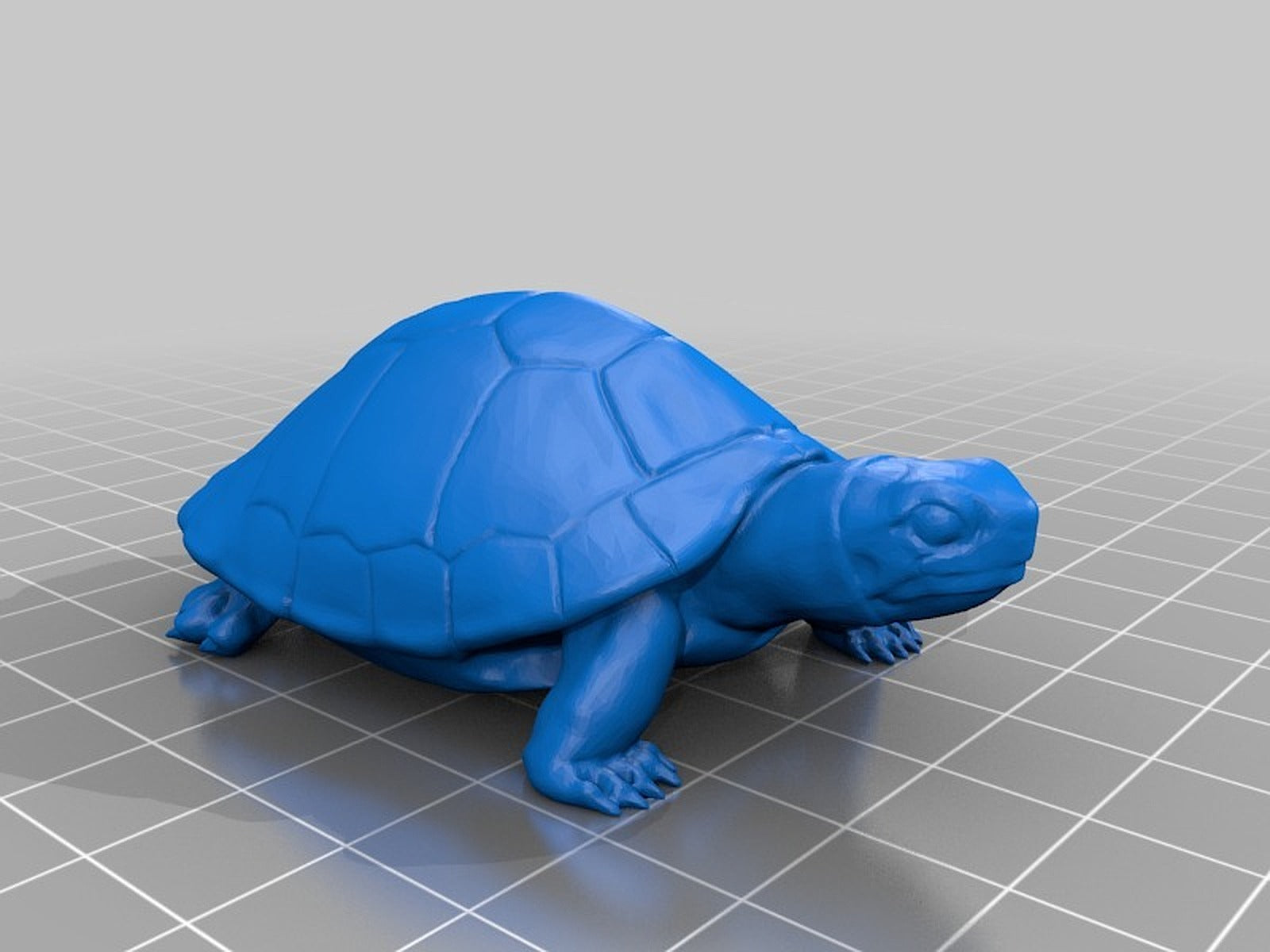 亀（Turtle）3Dデータ – 3D Baskı Modeli