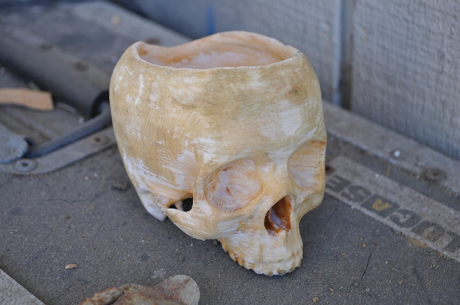 Skull Bowl – 3D Baskı Modeli