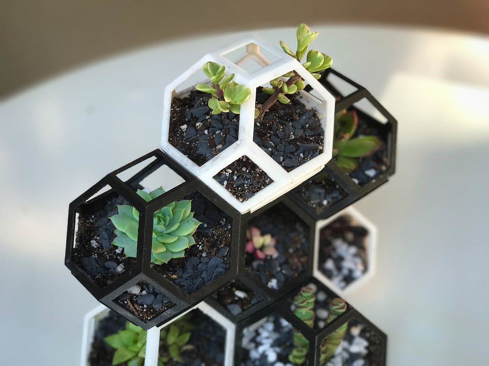 Plantygon - Modular Geometric Stacking saksı for Succulents – 3D Baskı Modeli